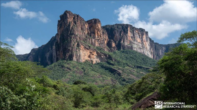 Investigación de mercado en Guyana
