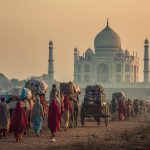 インドにおける市場調査