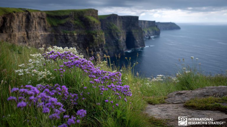 Ricerche di mercato in Irlanda