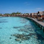 Marktonderzoek op de Malediven