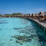 Market Research in the Maldives