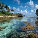 Market Research in The Mariana Islands