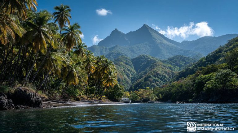 Market Research in Martinique