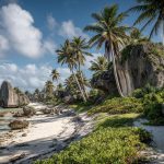 Market Research in Nauru