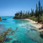 Market Research in New Caledonia