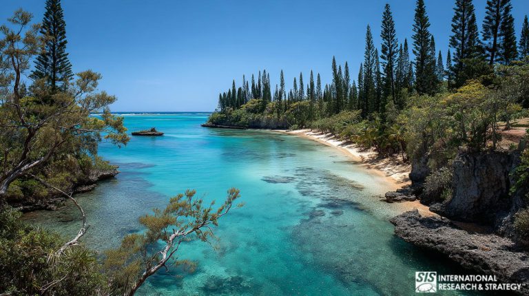 Pesquisa de mercado na Nova Caledônia