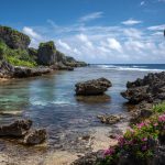 Market Research in Niue