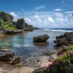 Market Research in Niue