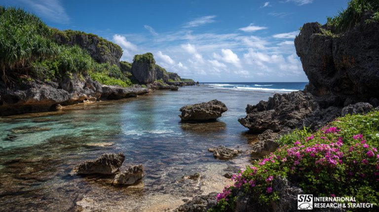 Pesquisa de mercado em Niue