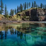 Market Research in Norfolk Island