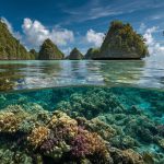 Market Research in Palau