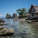 Marktonderzoek in Sulawesi