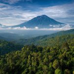 Marktonderzoek op Sumatra