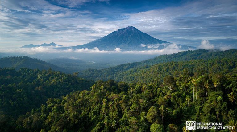 Pesquisa de mercado em Sumatra
