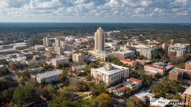 Investigación de mercado en Tallahassee (Florida)