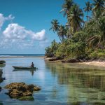 Market Research in Tonga