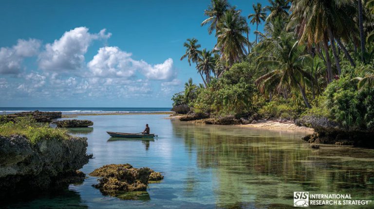 Pesquisa de mercado em Tonga