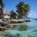 Market Research in Tuvalu