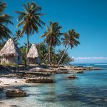 Market Research in Wallis and Futuna