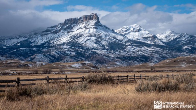 Investigación de mercado en Wyoming